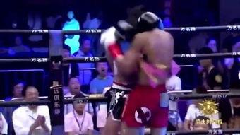 拳王猛虎在线观看,激战巅峰,热血沸腾的在线对决 第1张 拳王猛虎在线观看,激战巅峰,热血沸腾的在线对决 第1张